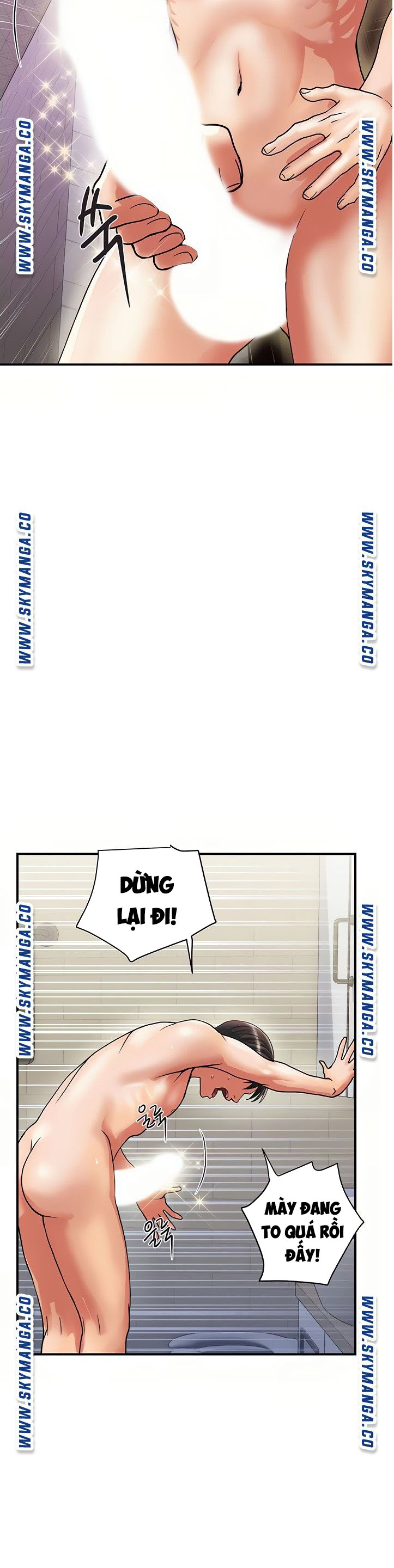 chất dẫn dục chapter 11 3