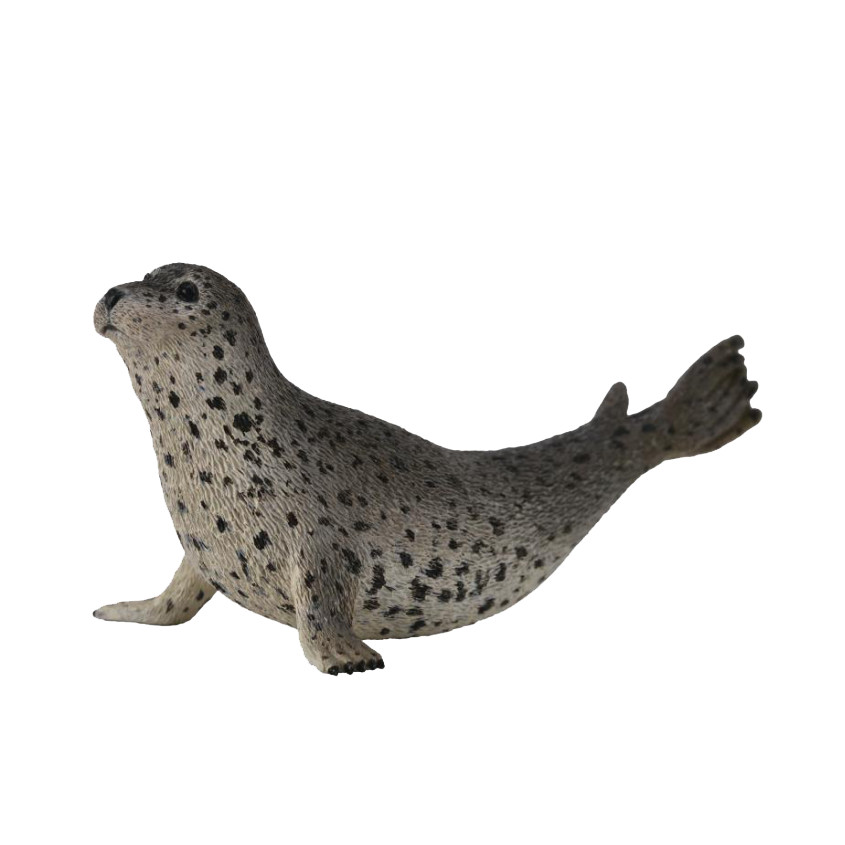 Mô hình thu nhỏ: Hải Cẩu Đốm - Spotted Seal, hiệu: CollectA, mã HS 9652130 - Chất liệu an toàn cho trẻ - Hàng chính hãng
