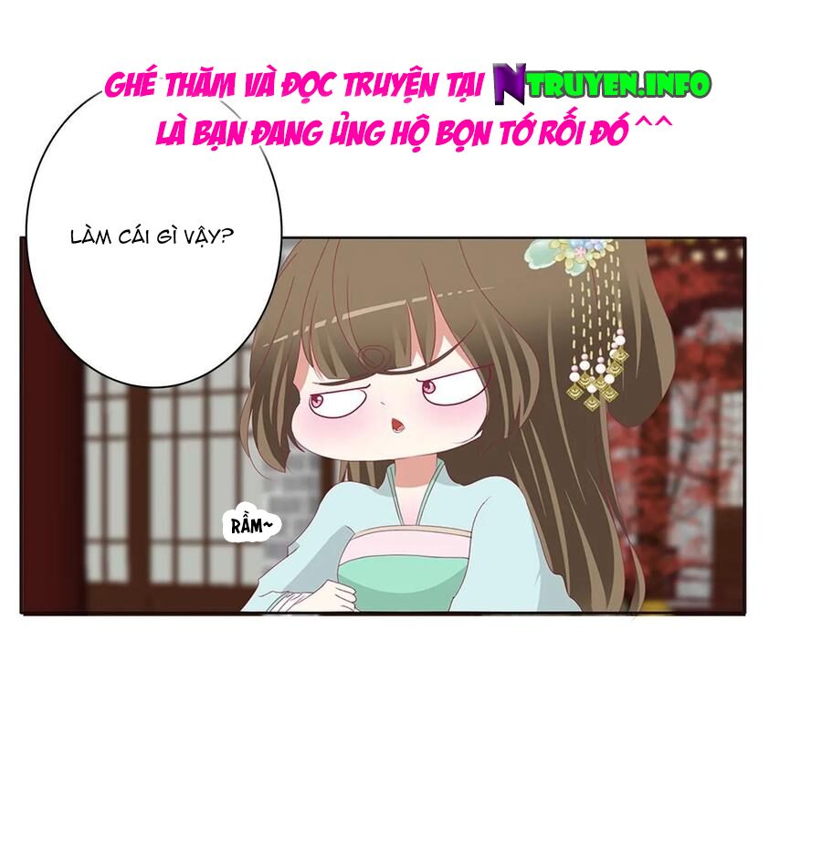 thông linh phi chapter 608 10