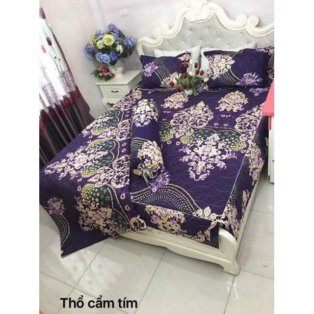 Bộ Ga Phủ Chần Bông Poly Cottong