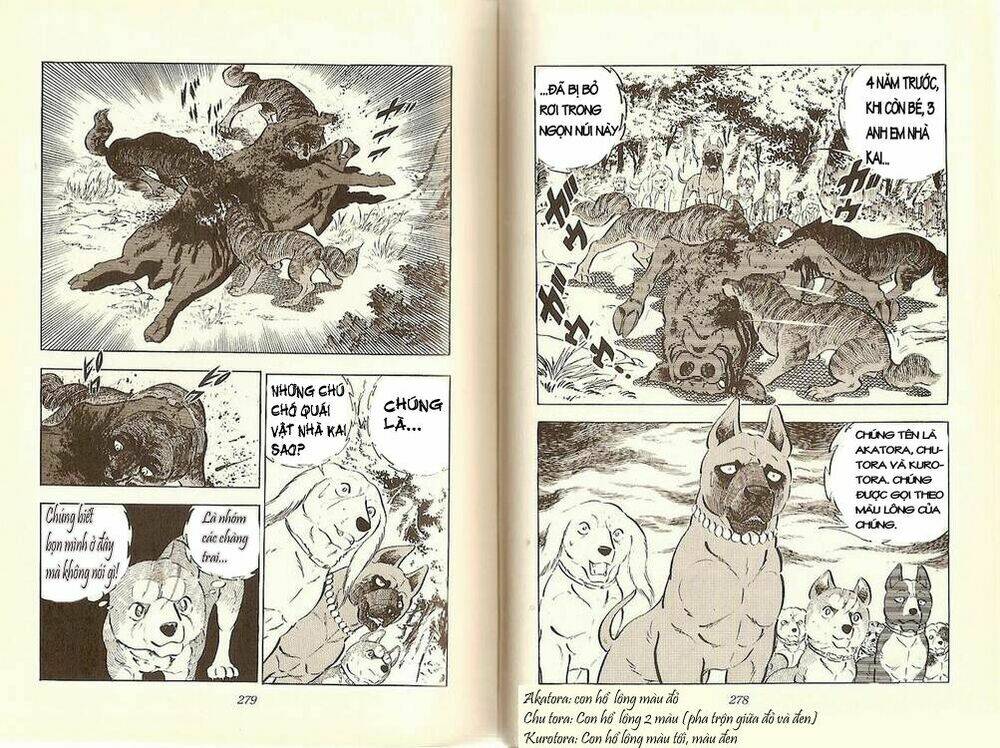 chú chó có nghĩa - ginga nagareboshi gin chapter 12 6