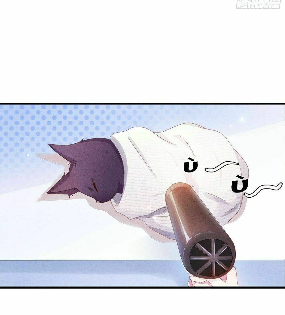 làm mèo của ta chapter 1 20