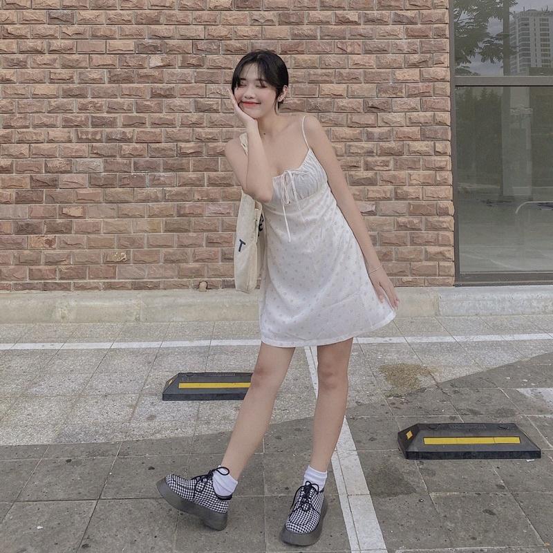 ĐẦM HAI DÂY HOA NHÍ