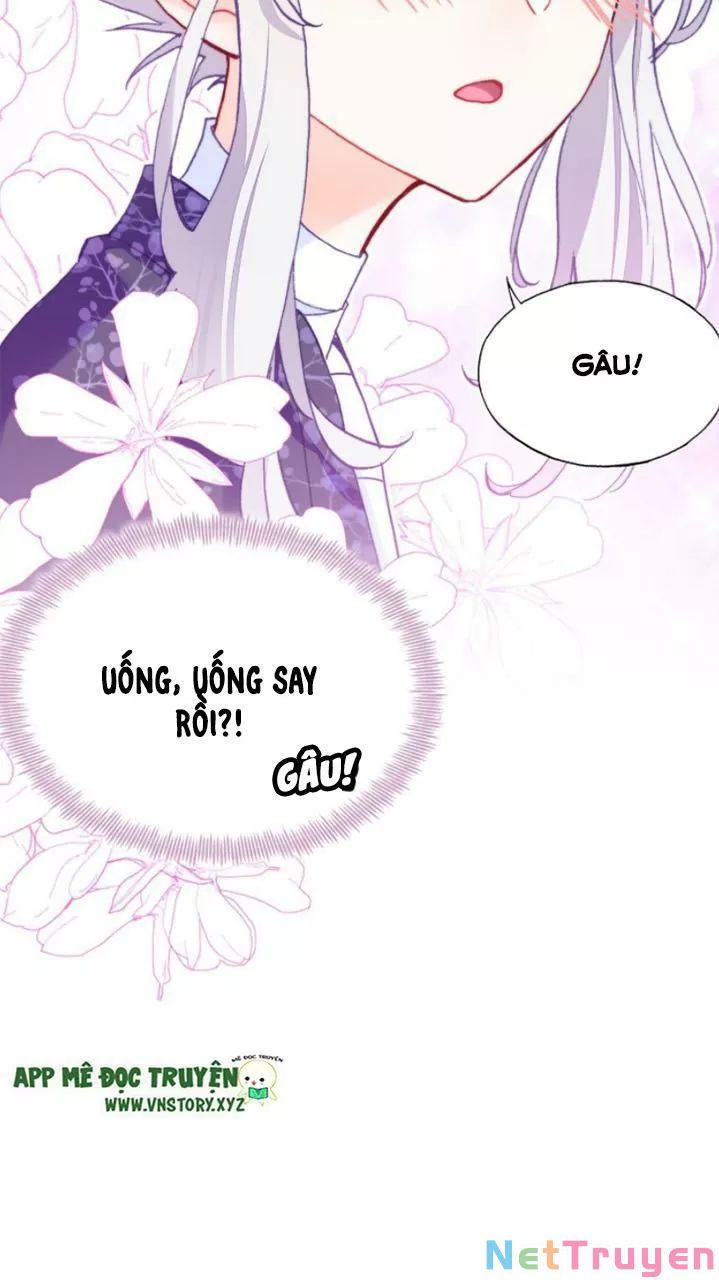 lại bị bệnh chiều chuộng quấn lấy chapter 18 63