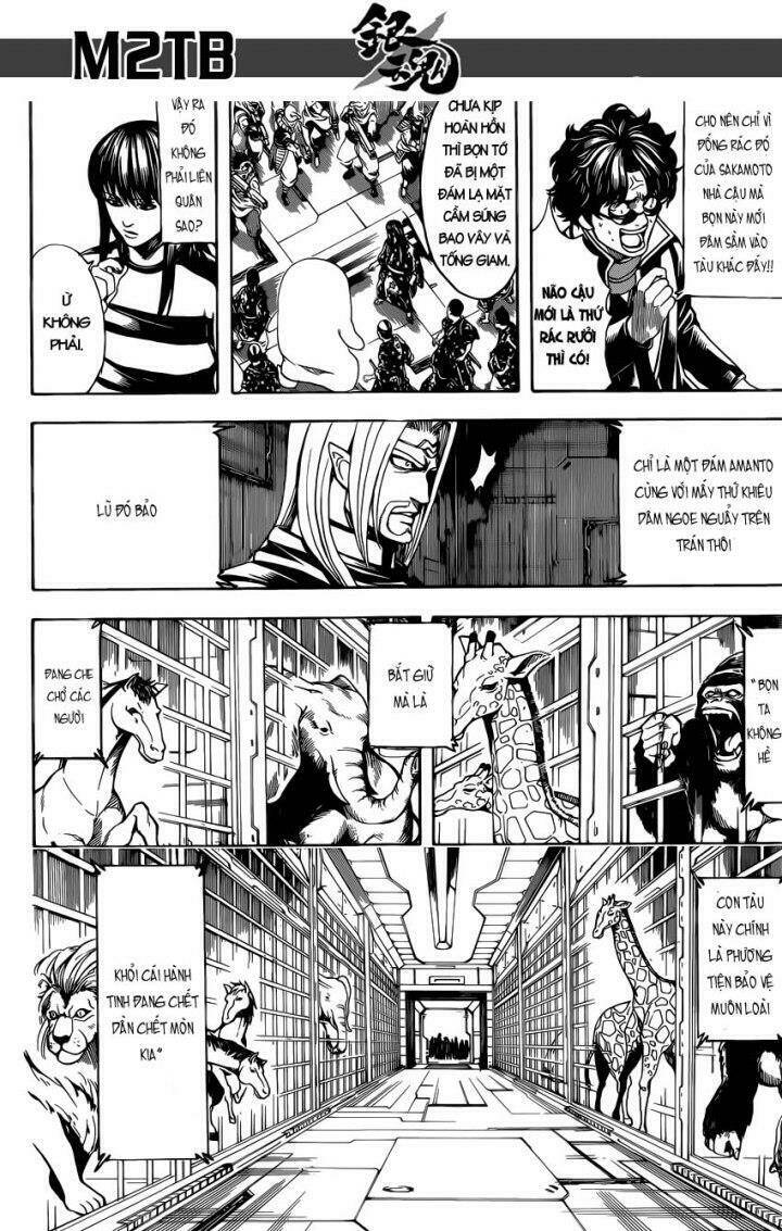 gintama - linh hồn bạc chapter 612 15