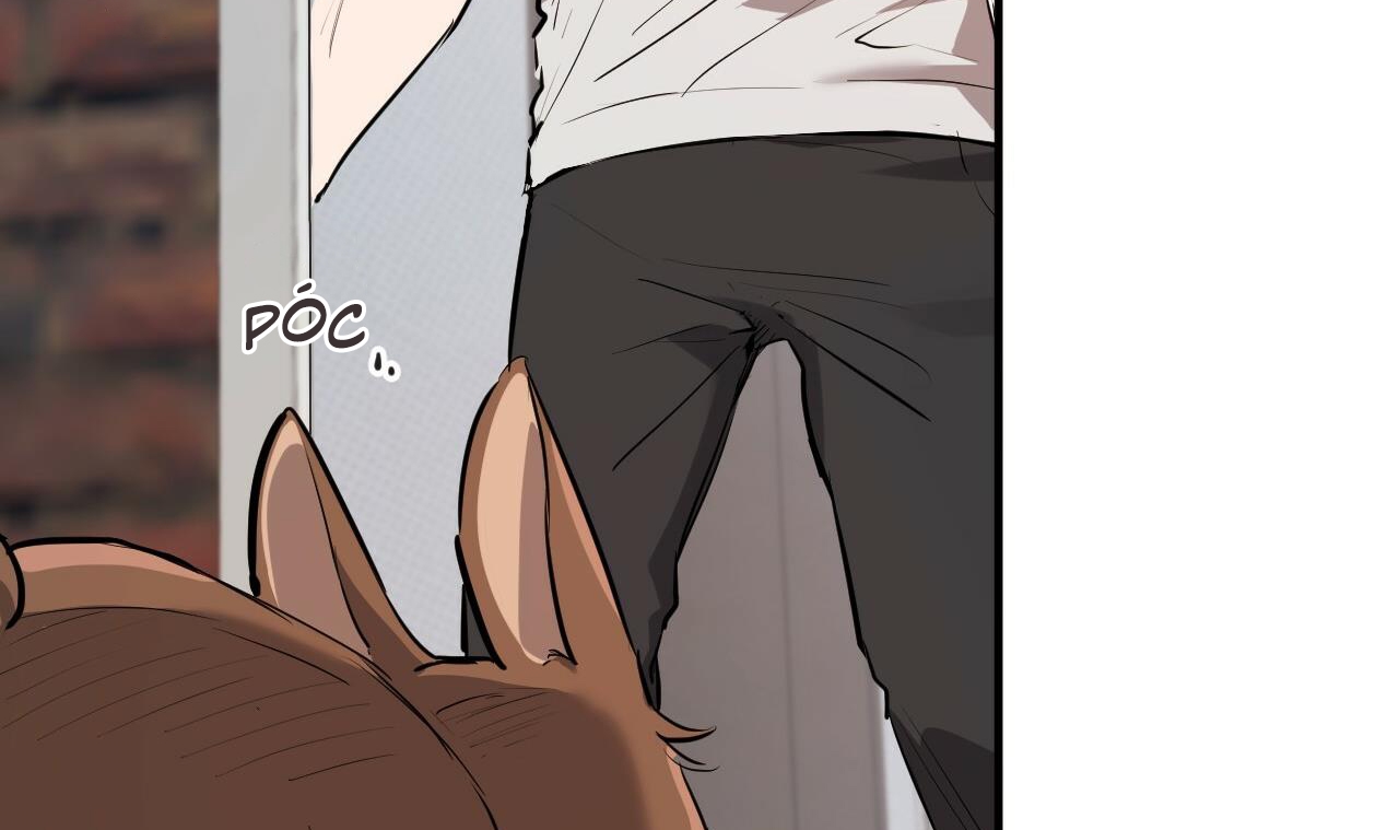 đàn thỏ của habibi chapter 39 125