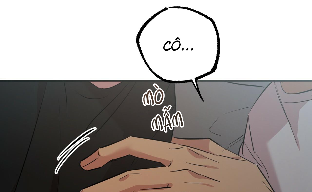 đàn thỏ của habibi chapter 52 234