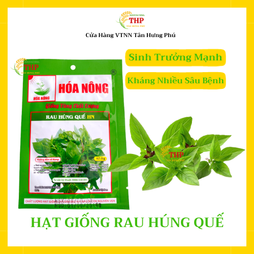 Hạt giống Rau Húng Quế HN | Hạt Giống | gói 5gr