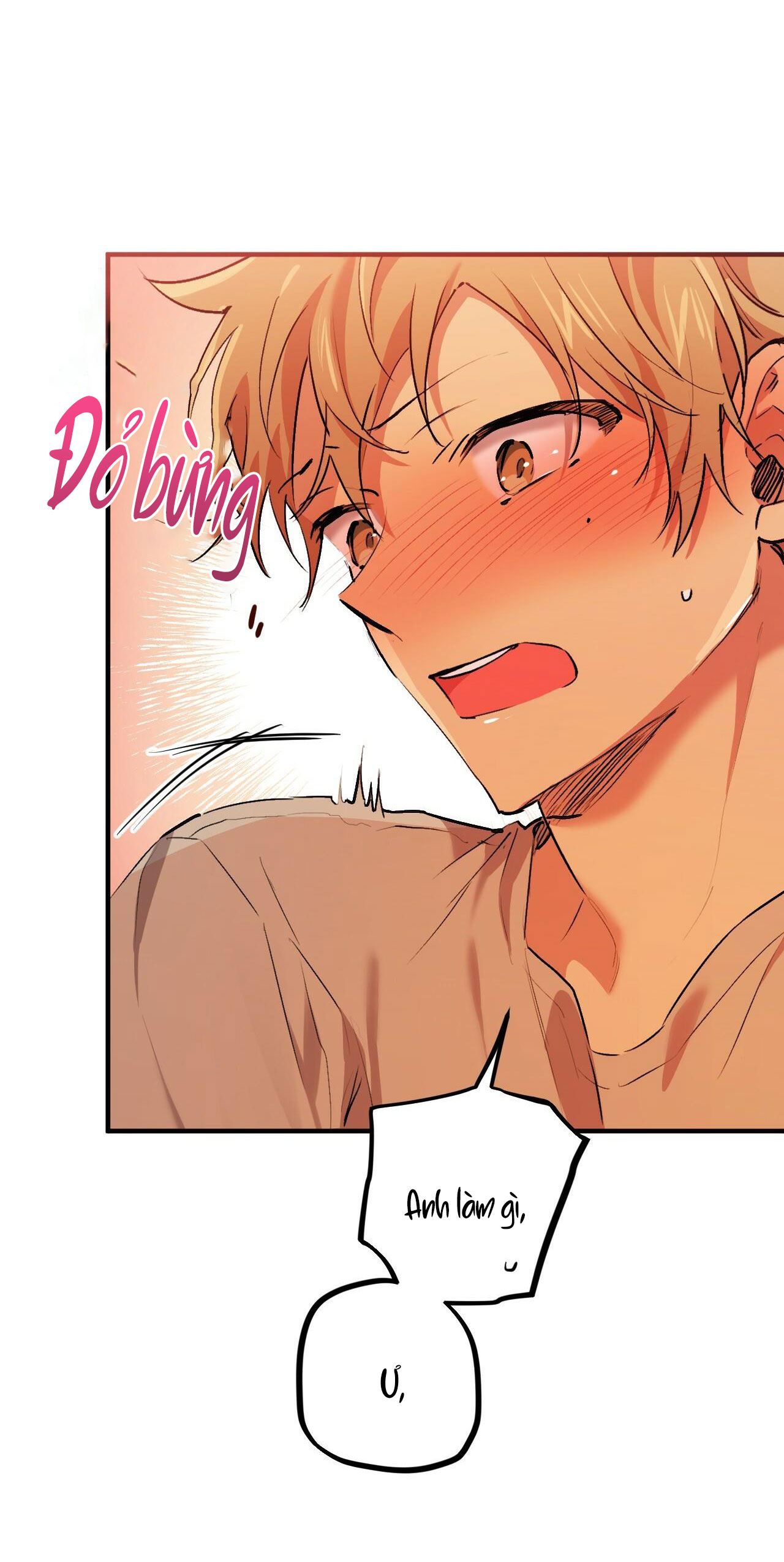 những chú thỏ của hapypy chapter 33 21