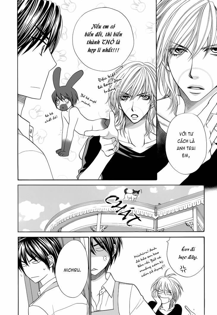 nekoka danshi no shitsukekata chapter 7 10