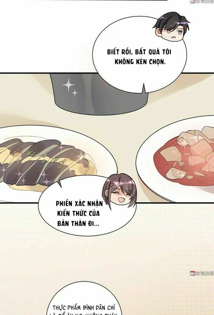 tổng tài truy thê: phu nhân đừng hòng trốn chapter 25 27