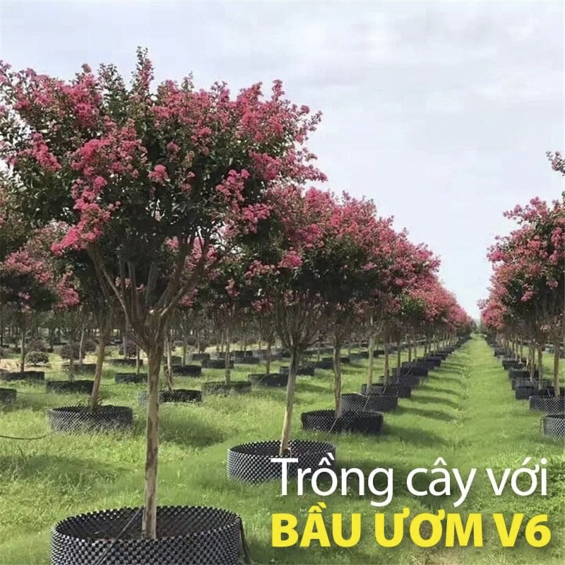 25 MÉT Bầu ươm cây V6 CAO 80CM dày 6mm, cắt theo mét dài khách đặt, tặng ốc vít-77905