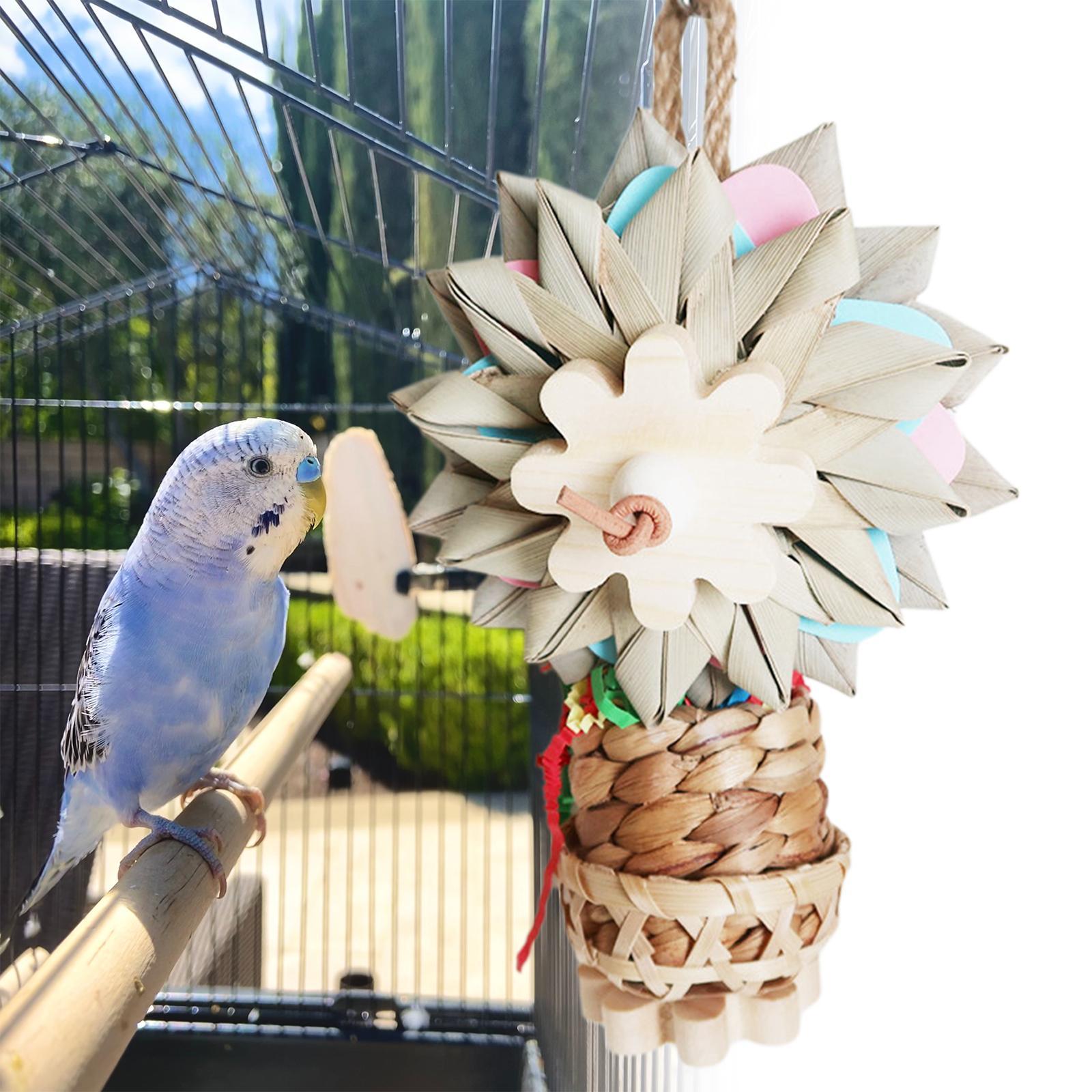 Bird Parrot Toy, Decorative Hanging Wooden Funny Parrot Cage Bite Toys Bird Chewing Toy for Cockatiel Training Parakeet Parrots Playing