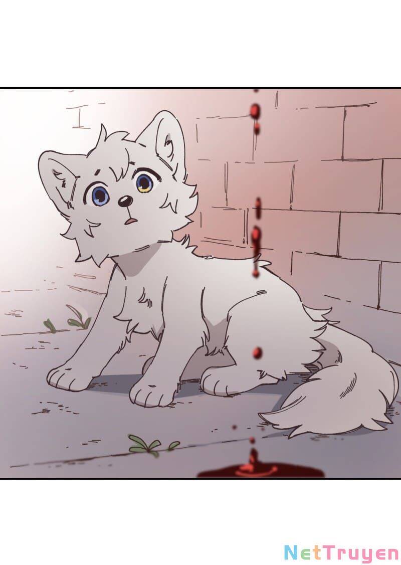 lumine - cội nguồn ánh sáng chapter 91 18