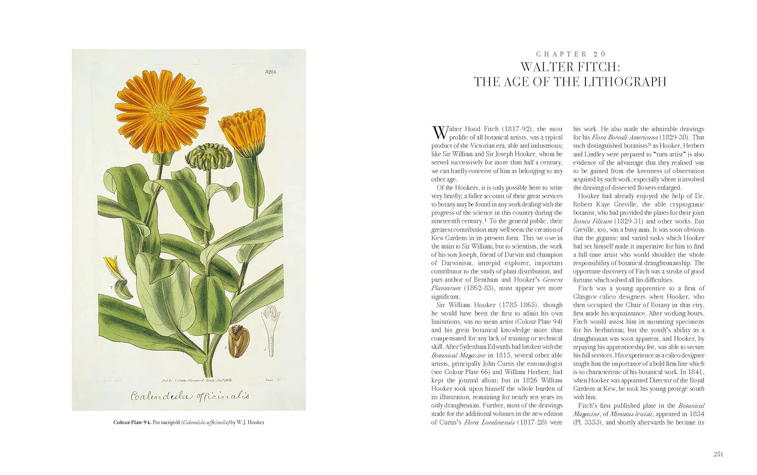 Artbook - Sách Tiếng Anh - The Art of Botanical Illustration