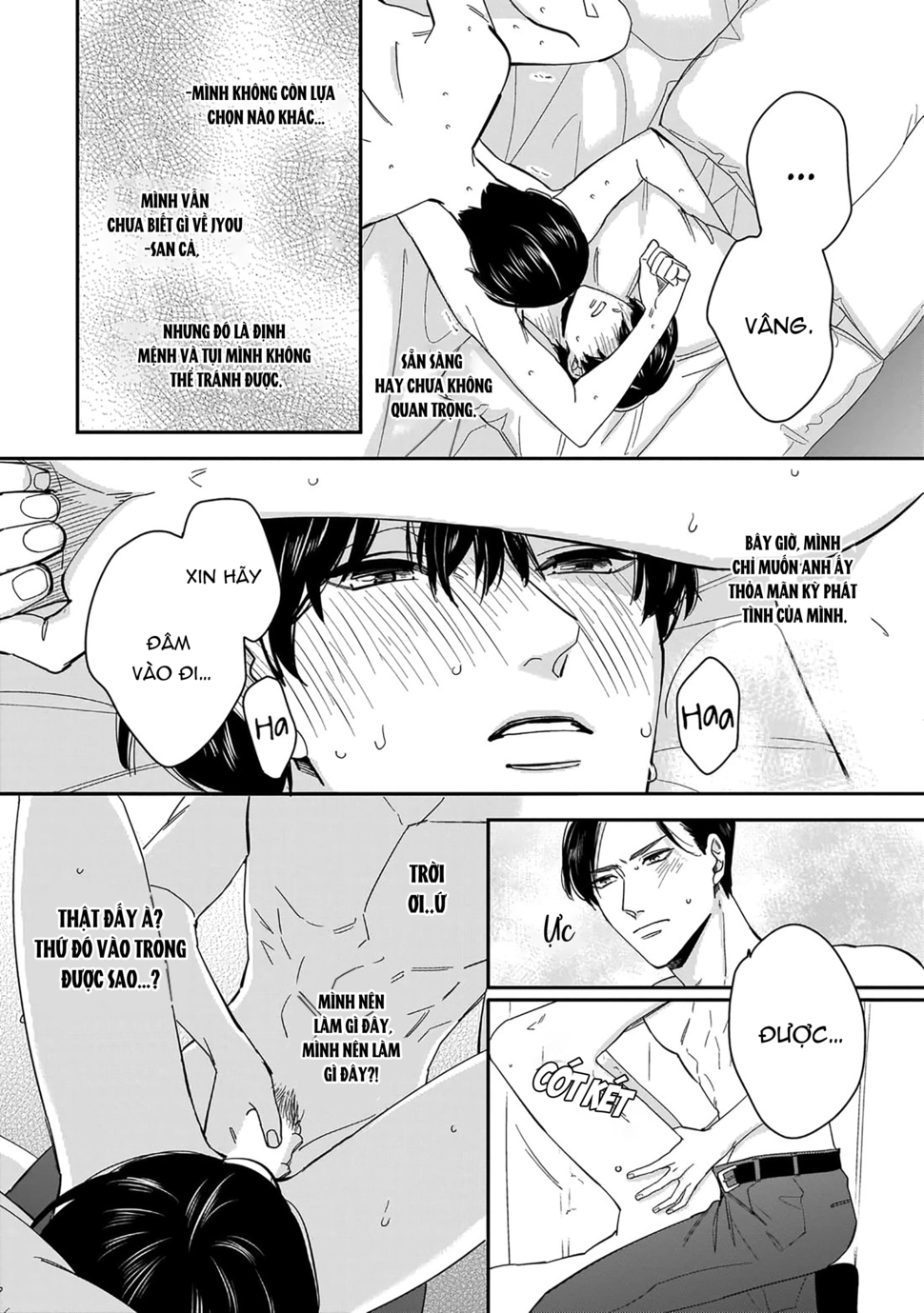 dù không là định mệnh chapter 1 16