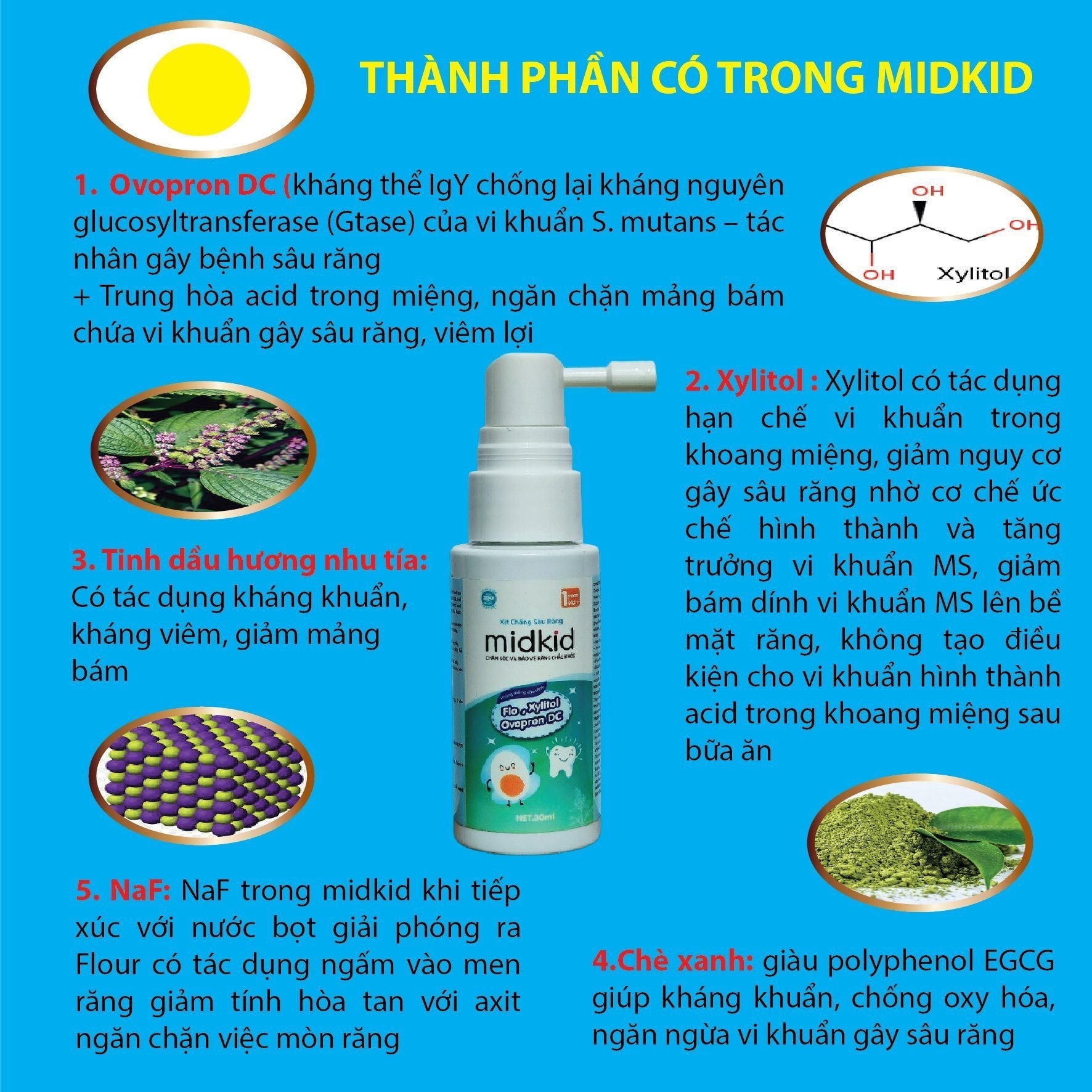 Xịt chống sâu răng Midkid, chăm sóc và bảo vệ răng cho bé từ 1 tuổi (30ml)