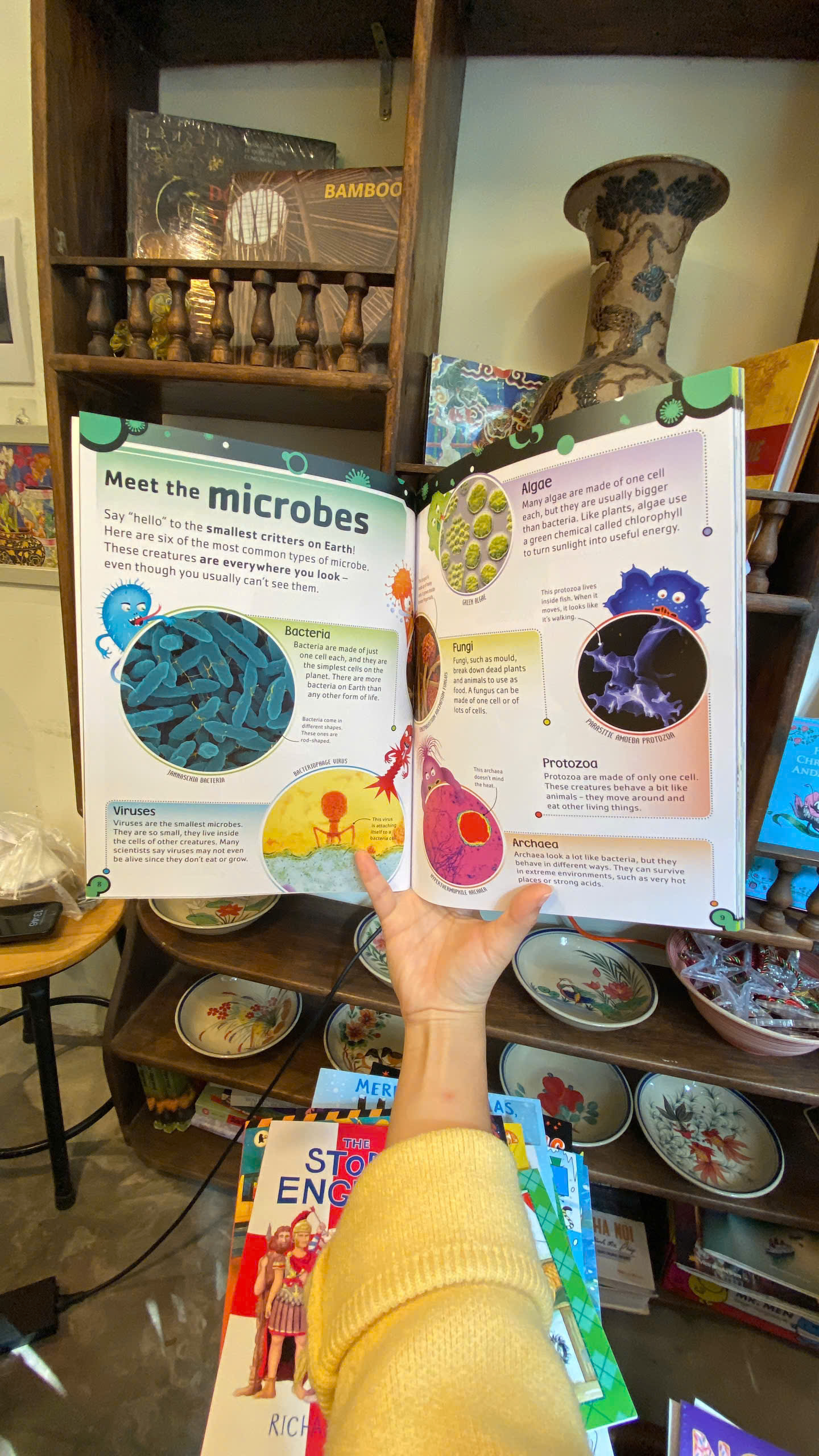Sách - The Bacteria Book : Gross Germs, Vile Viruses , Funky Fungi (The Science Book) by Steve Mould