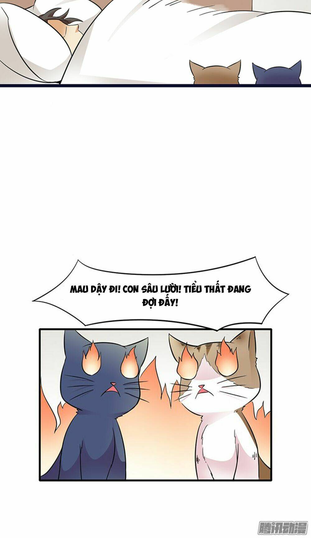 hai chú mèo totem chapter 10 16