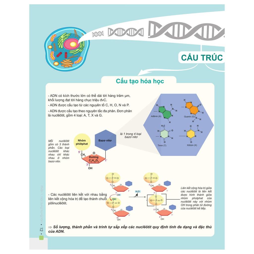 Sách - Combo Đột phá điểm cao thi THPT Quốc gia môn Sinh học