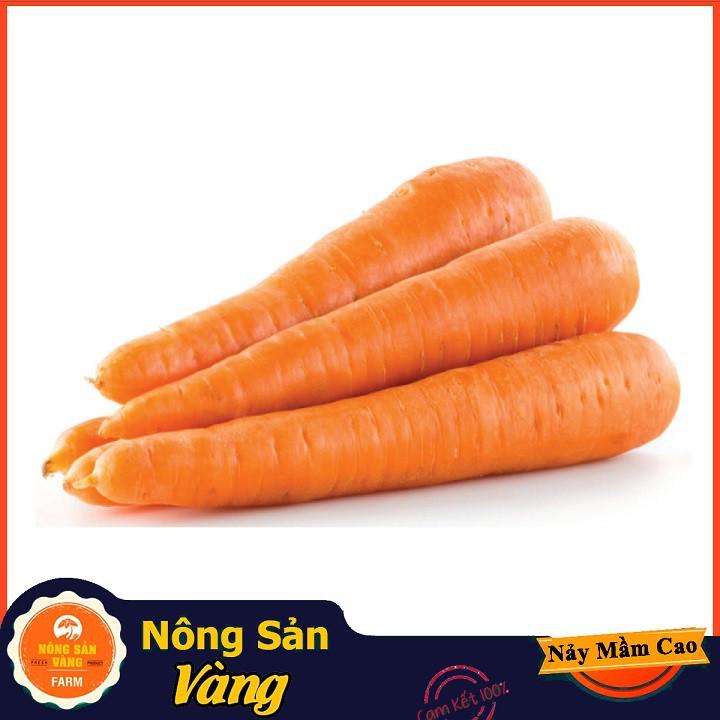 Hạt giống Cà Rốt Thường F1