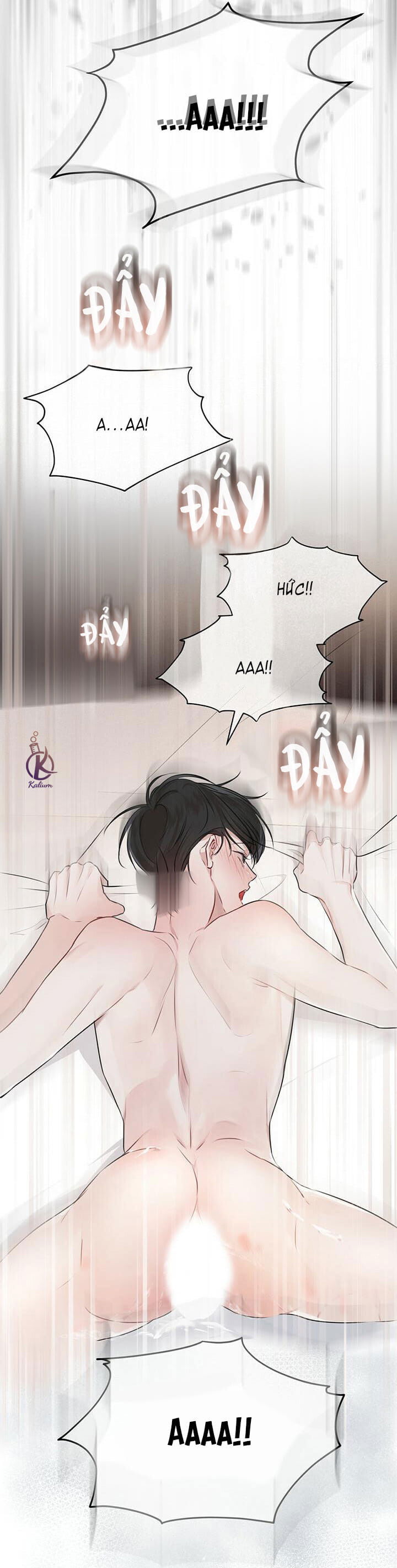 hình thái khởi sinh chapter 28 33