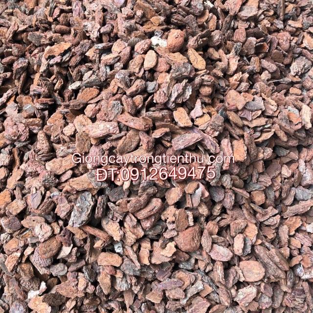 VỎ THÔNG TRỒNG LAN EcoBARK 1kg