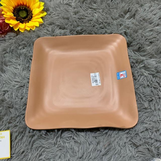 Đĩa nhựa hình vuông lớn DV 119 nhám ngói