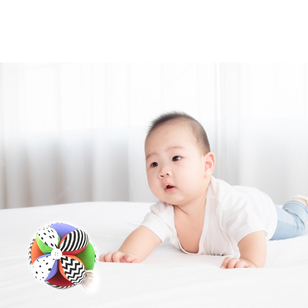 Bóng múi PiPoVietnam Montessori Colorful cho bé từ 6 tháng tuổi