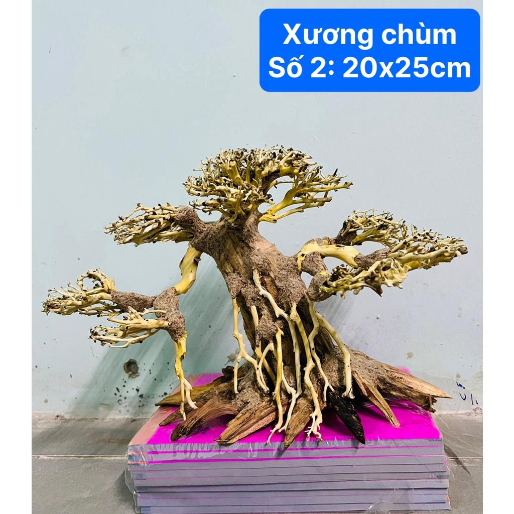 Lũa Bonsai Gắn Rêu - Bonsai Rêu Nhựa Trang Trí Hồ Cá, Thuỷ Sinh
