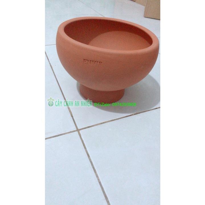 Chậu Đất Nung Trồng Cây