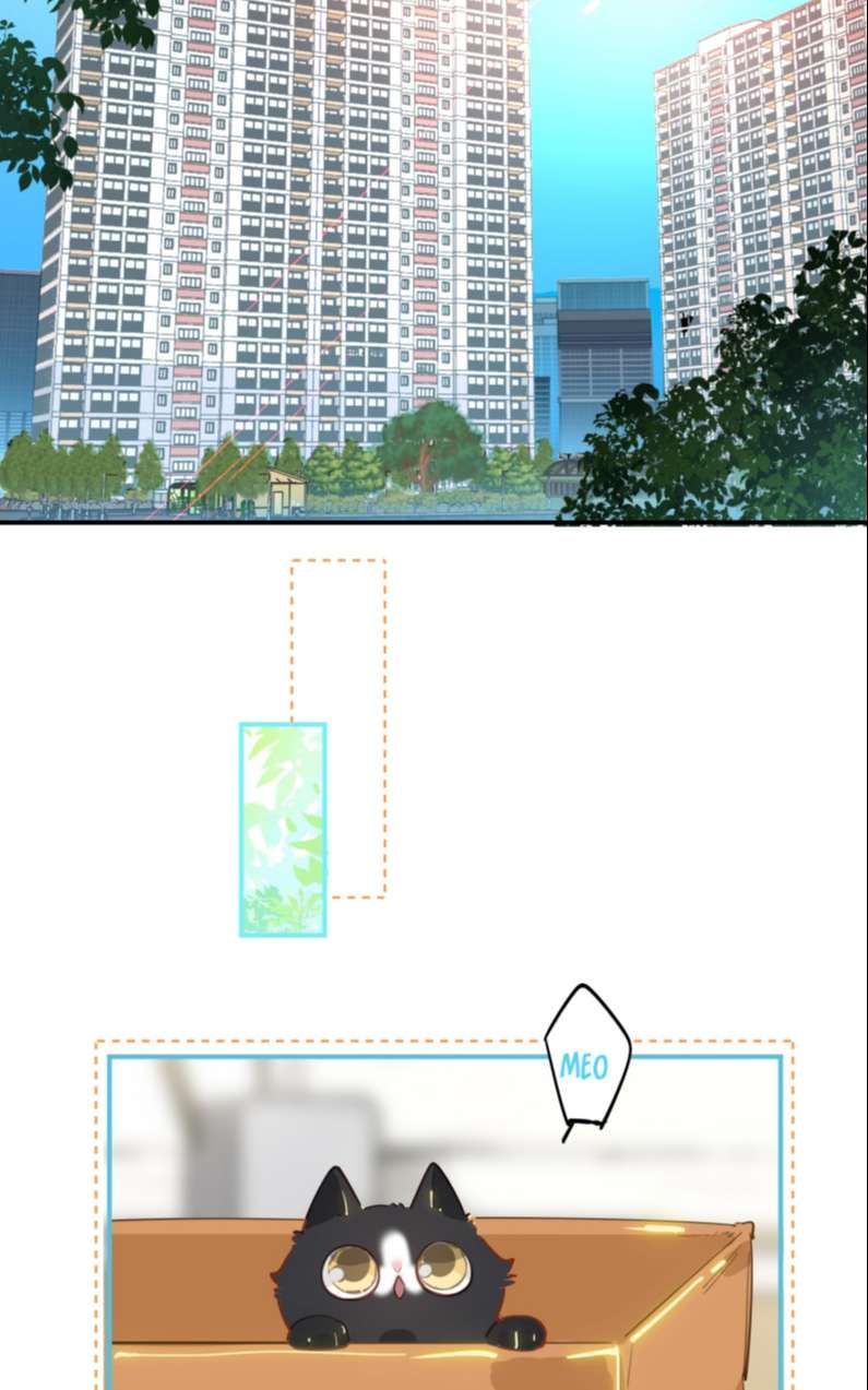 tôi bị điên đó chapter 8 12