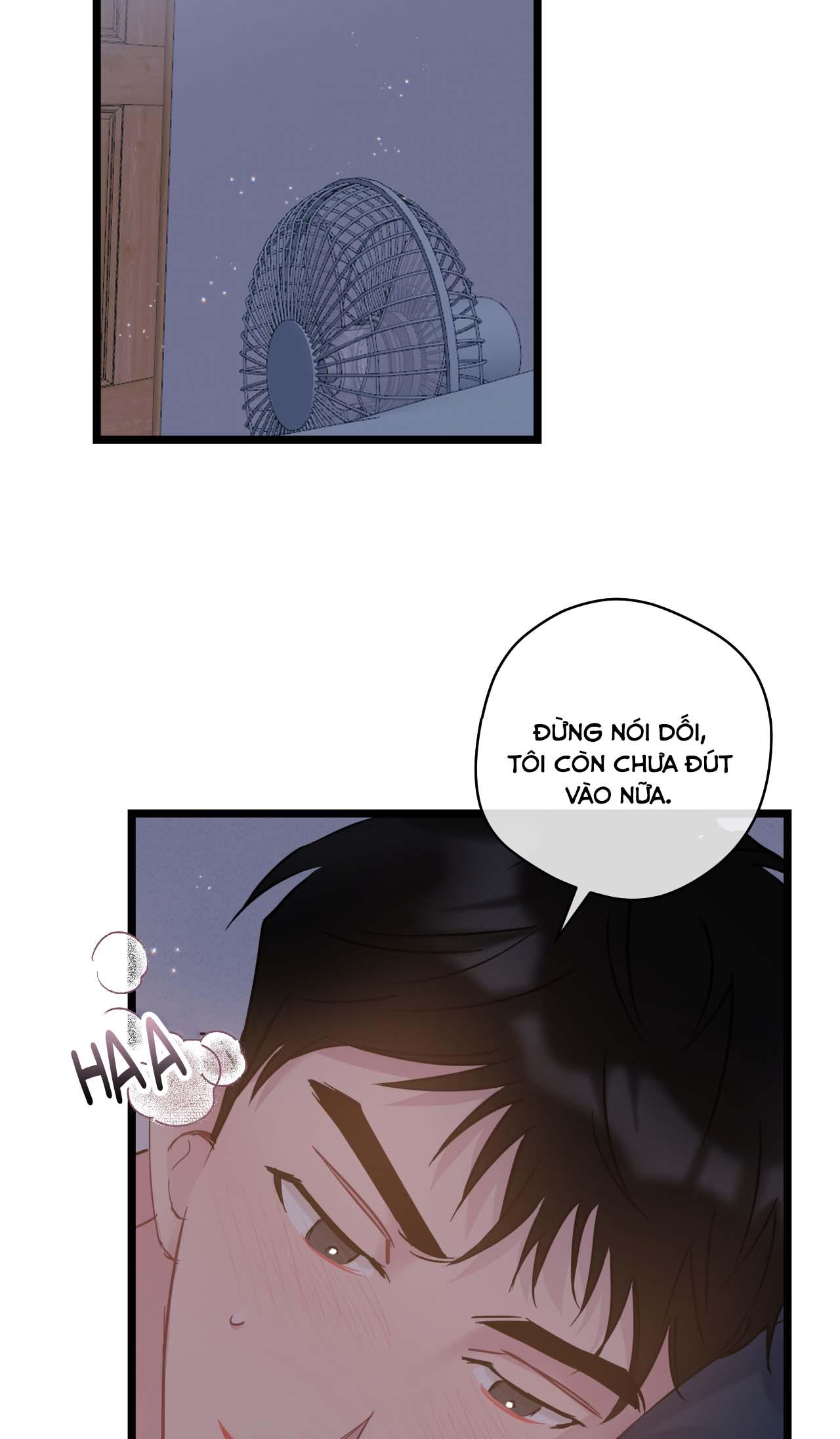 tình yêu bình dị nhất chapter 22 40