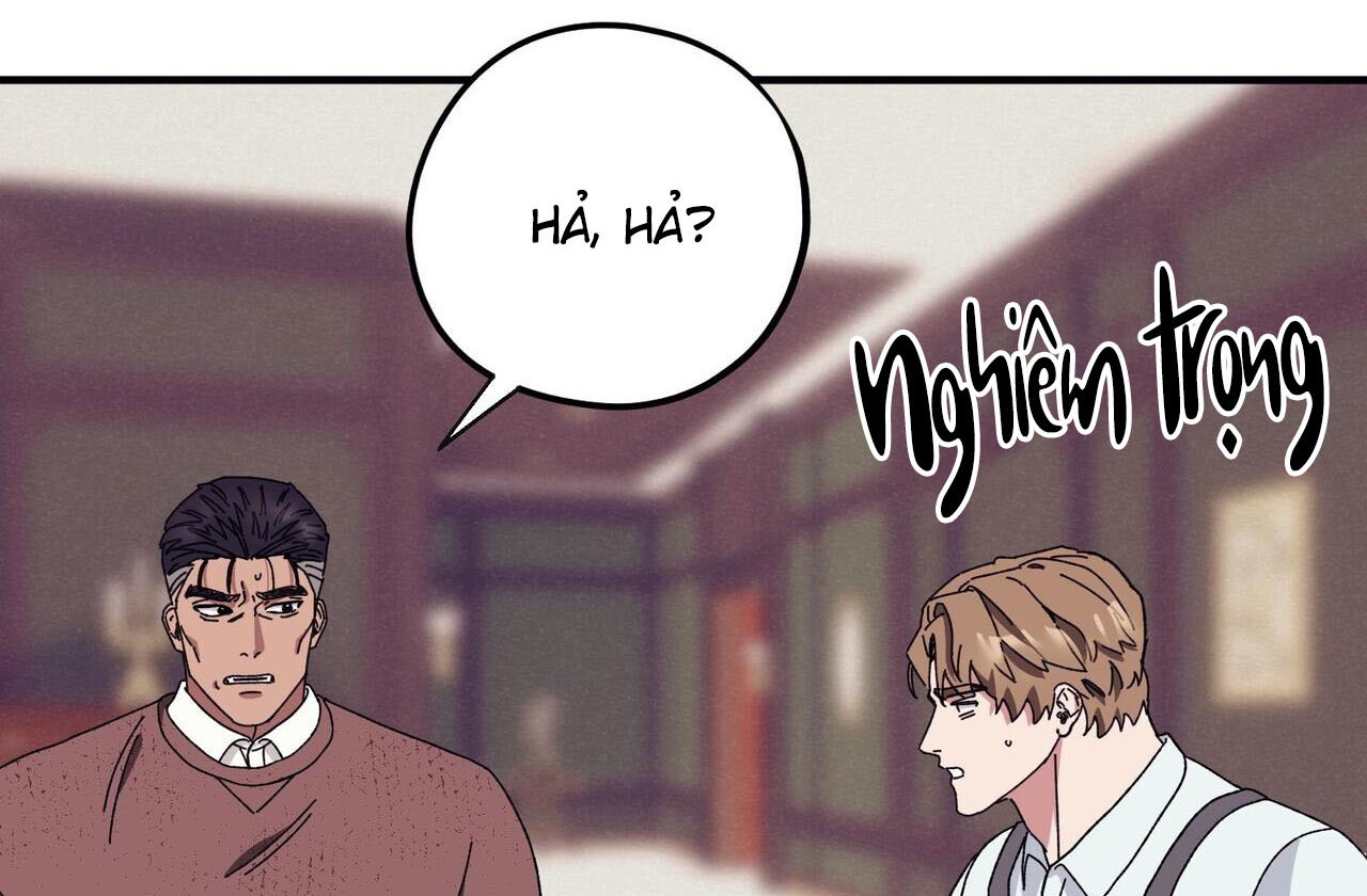chàng dâu nhà họ kang chapter 42 127