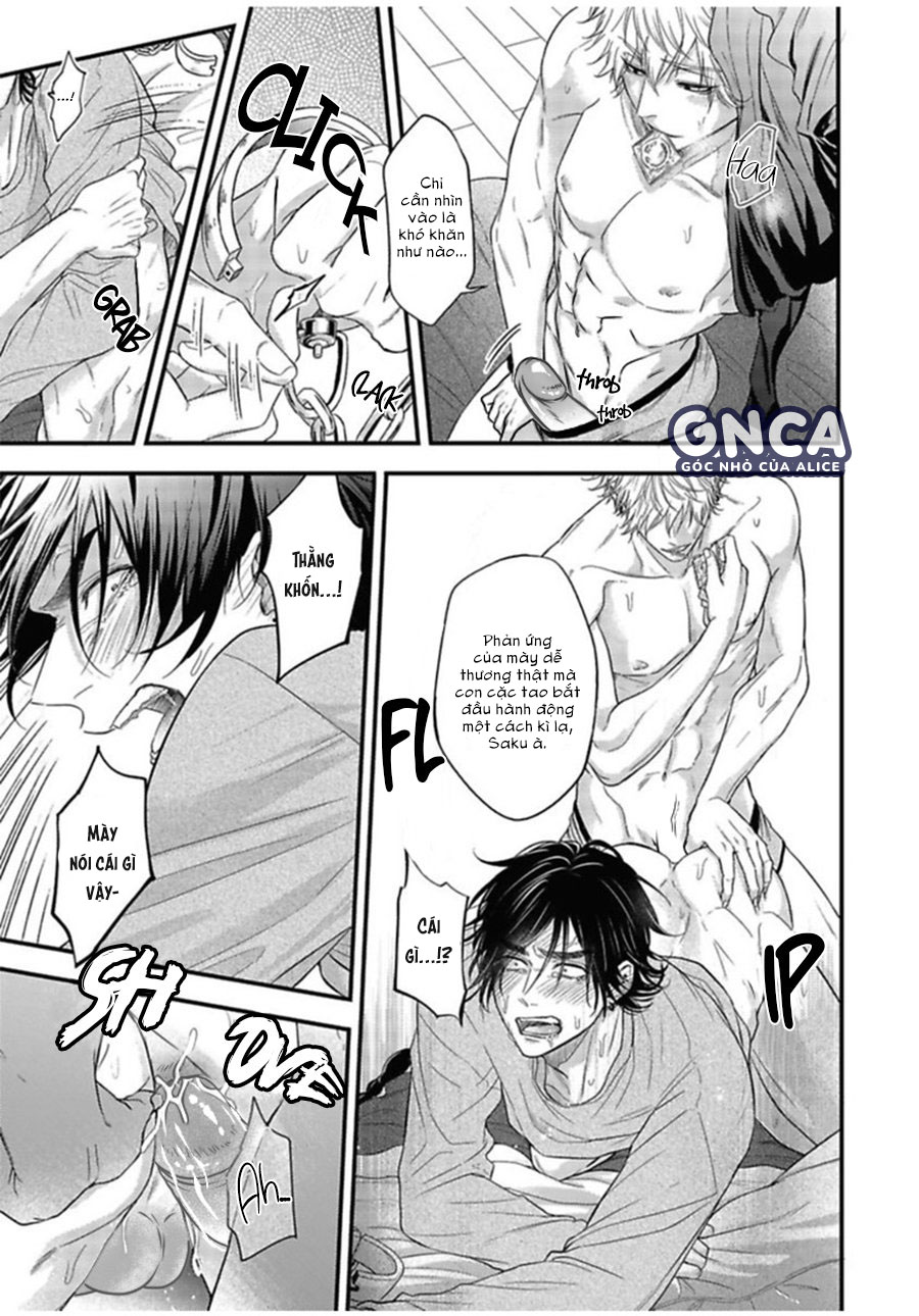 anh đào của một người chapter 6 9