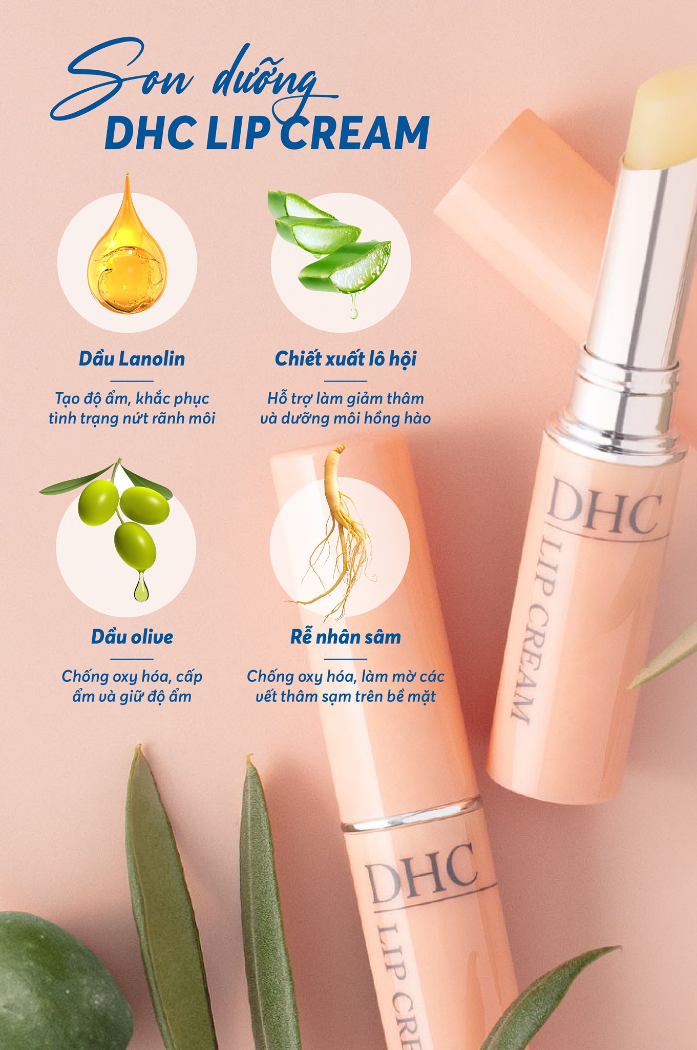 Son dưỡng môi mềm mọng DHC Lip Cream Nhật dưỡng môi khô, làm mặt nạ ngủ cho môi và son lót - Massel Official