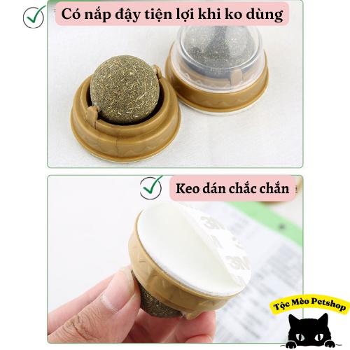 Viên cỏ mèo/Catnip dán tường- Giúp mèo thư giãn