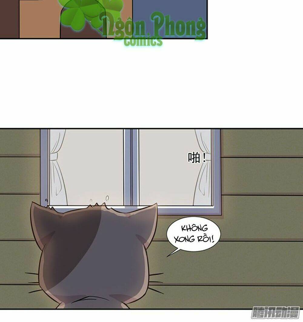 hai chú mèo totem chapter 23 21