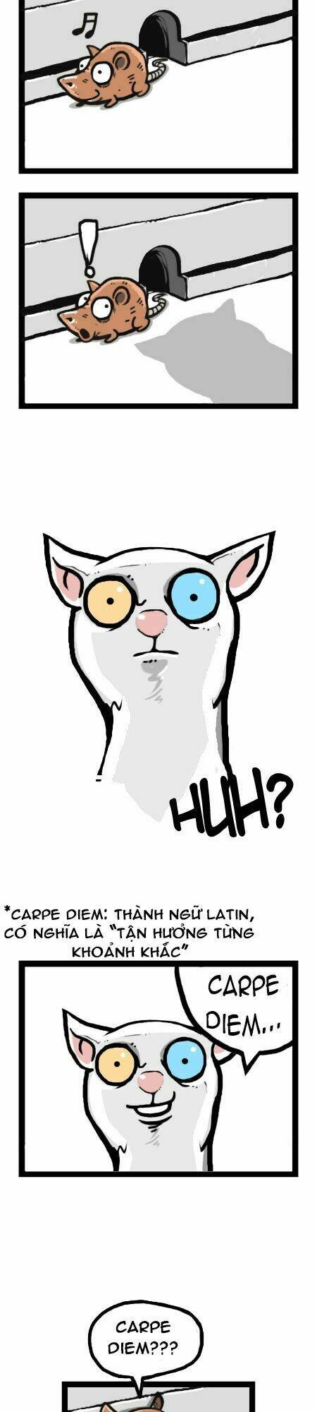 earth, human, and animal chapter 12 4