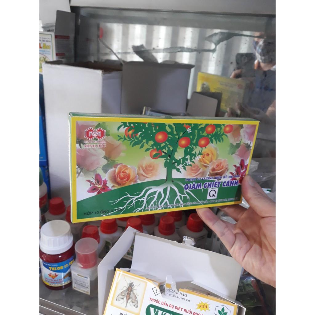 Phân bón vi lượng Giâm Chiết Cành giúp kích thích ra rễ