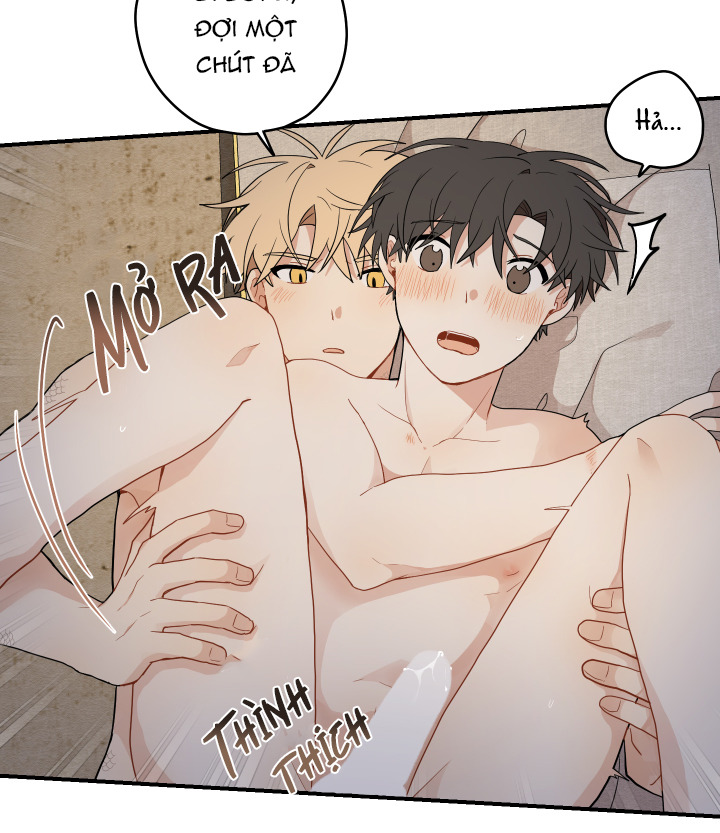 đường hoa liên kiều rơi chapter 17 48