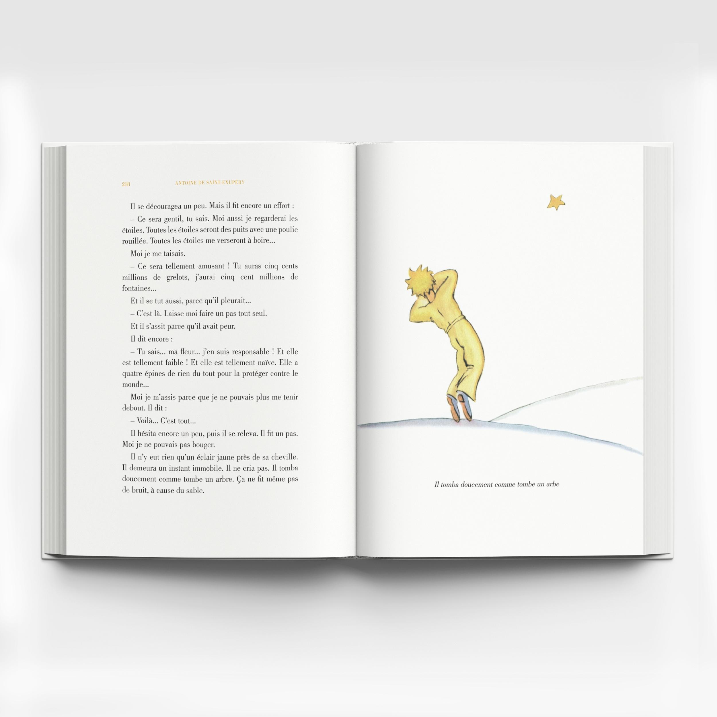 Hoàng Tử Bé - Le Petit Prince (Song Ngữ Việt - Pháp)