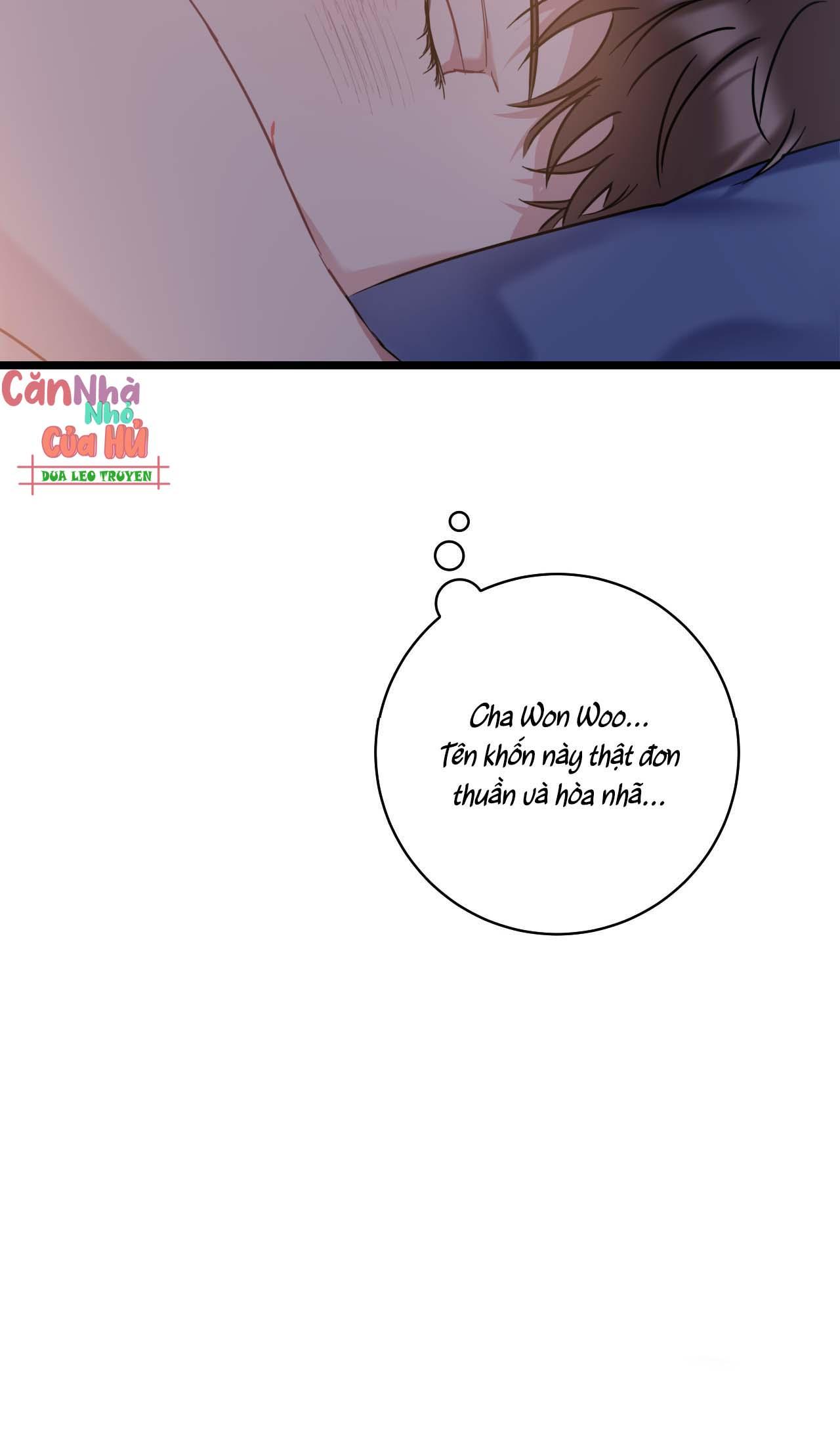 tình yêu bình dị nhất chapter 22 91