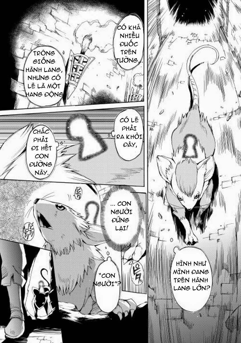 spirit migration chapter 1 7