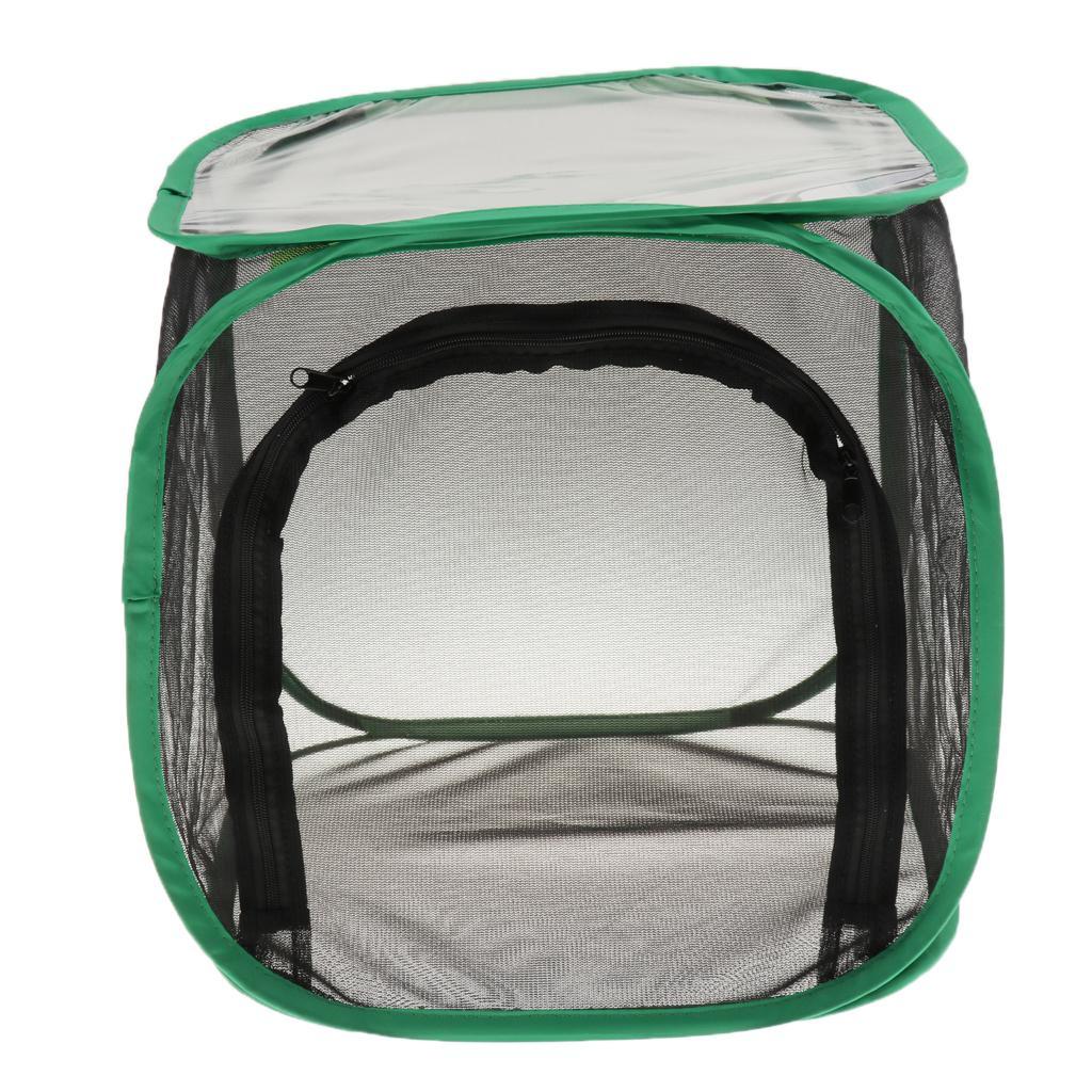 Collapsible Insect and Butterfly Habitat Net Terrarium Breeding Cage 30x30x30cm