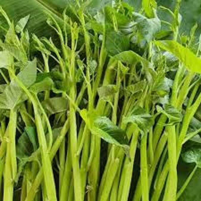 Hạt giống rau muống siêu ngọn -10gram/gói-tặng kèm gói phân bón lót