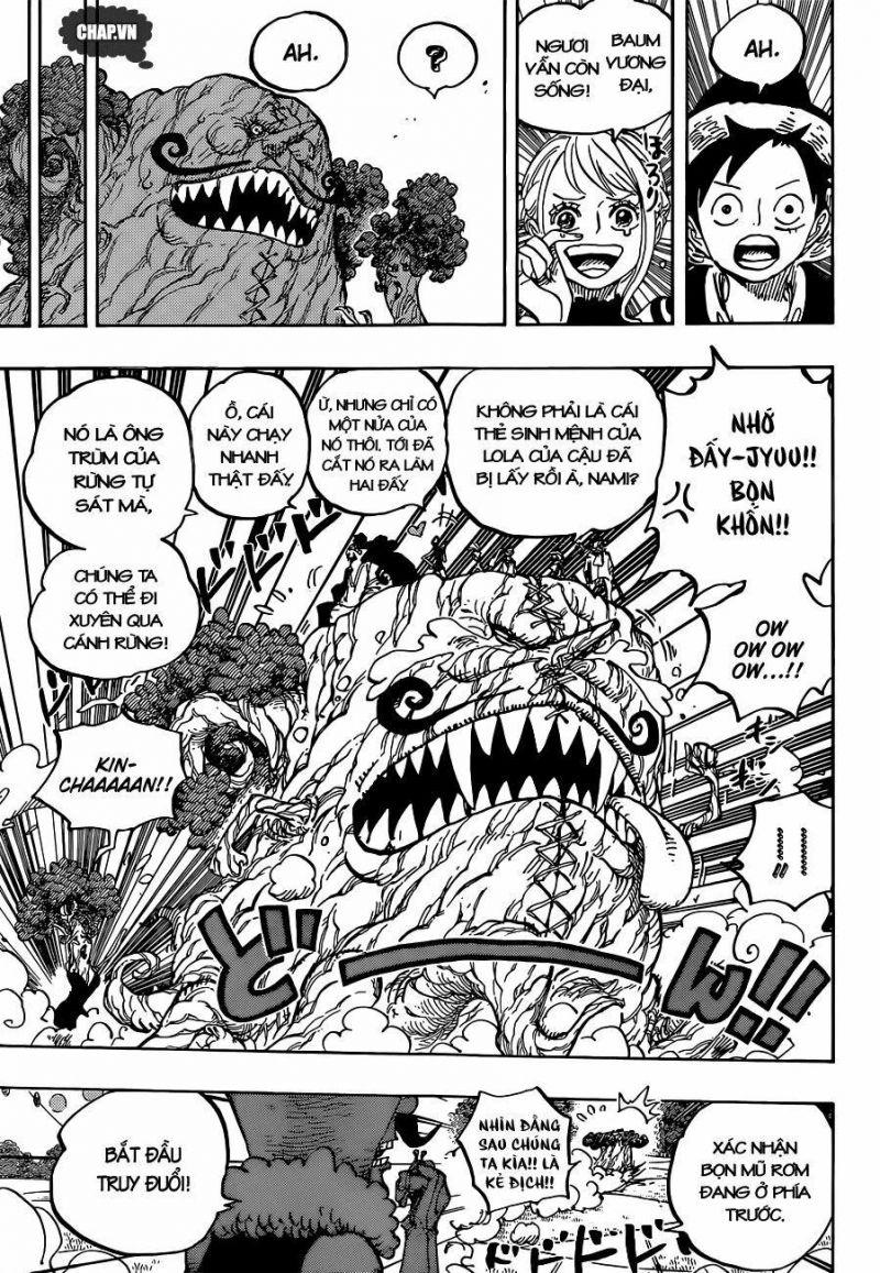 đảo hải tặc - one piece chapter 873 12