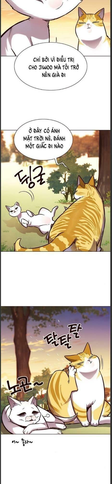 biến thân thành mèo chapter 161 19