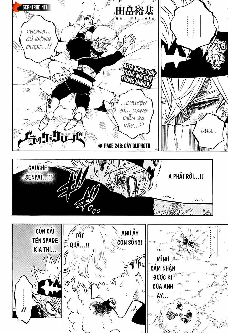 black clover - pháp sư không phép thuật chapter 246 3