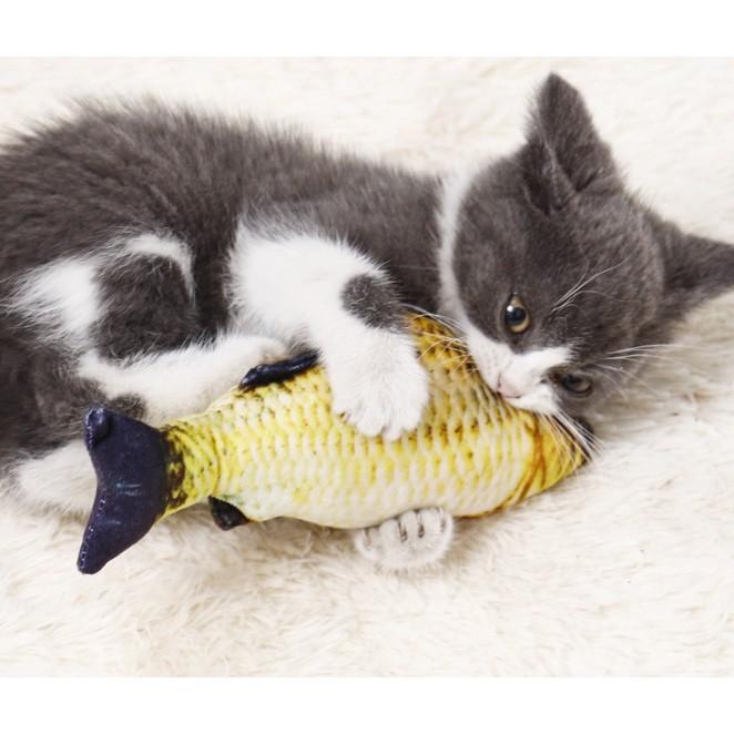 Đồ chơi mèo: cá nhồi bông catnip
